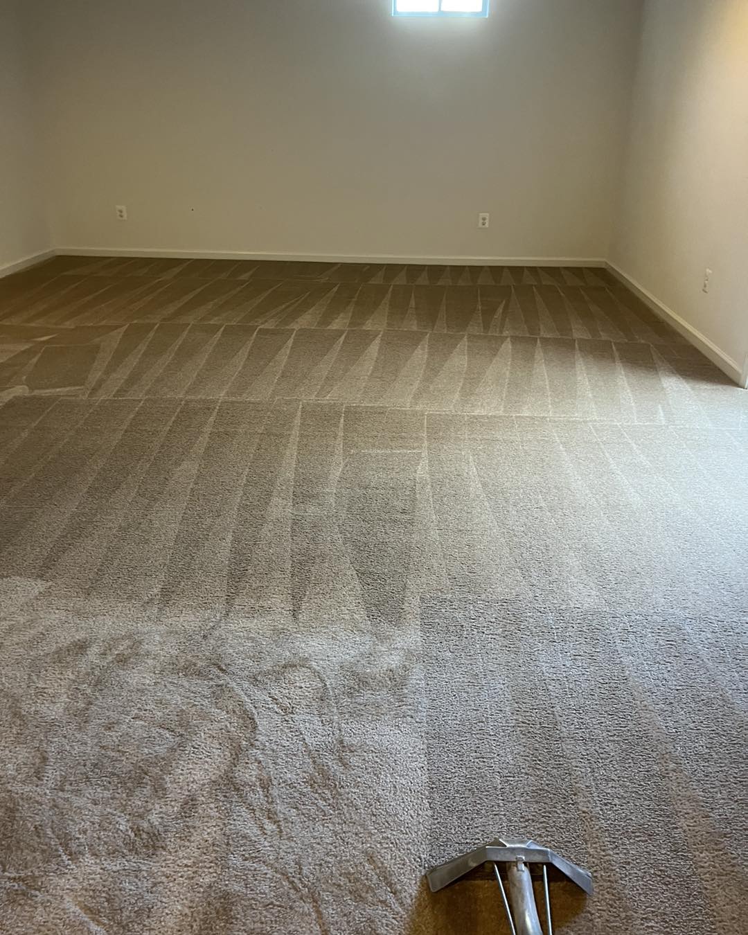 carpet cleaning company in chantilly va