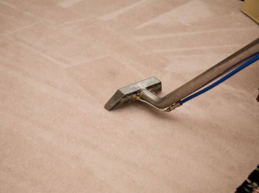 how often should carpets be cleaned professionally