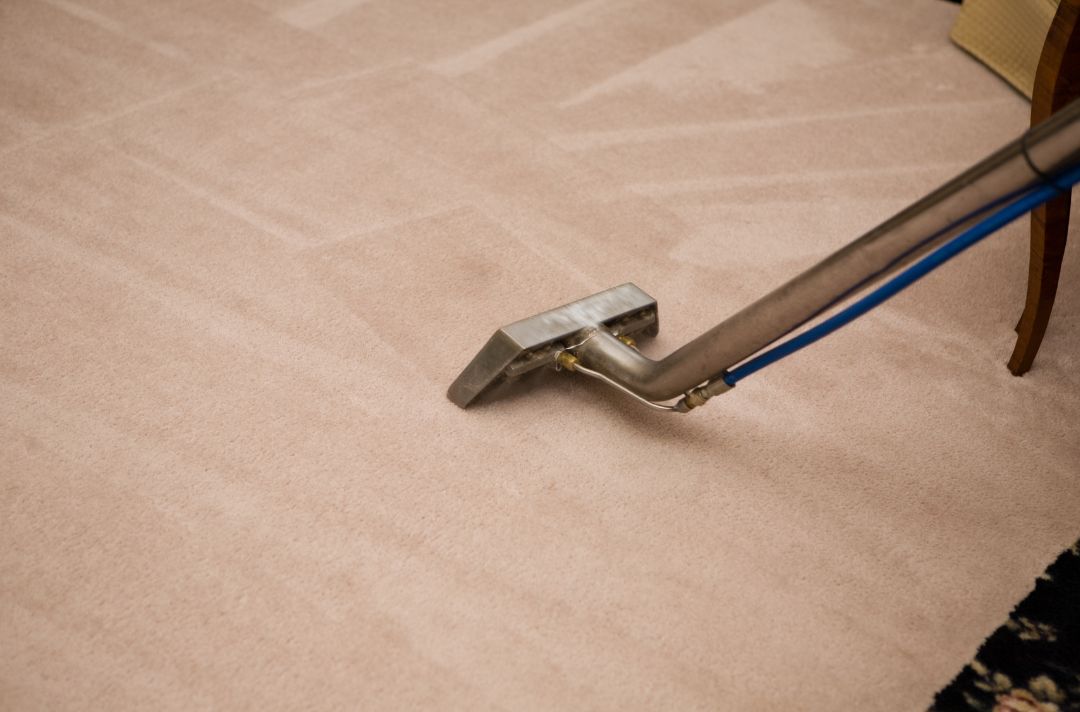 how often should carpets be cleaned professionally