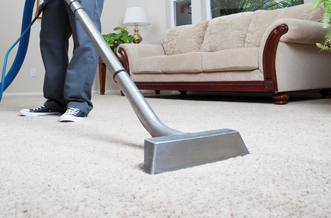 professional carpet cleaning vs diy