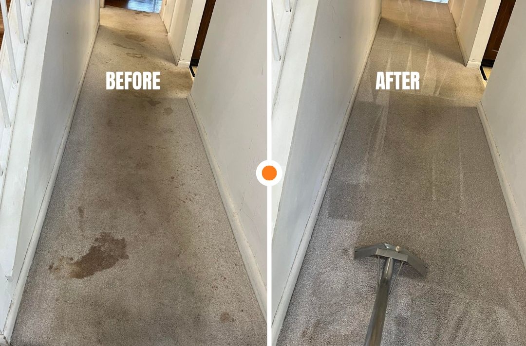 carpet cleaning chantilly va