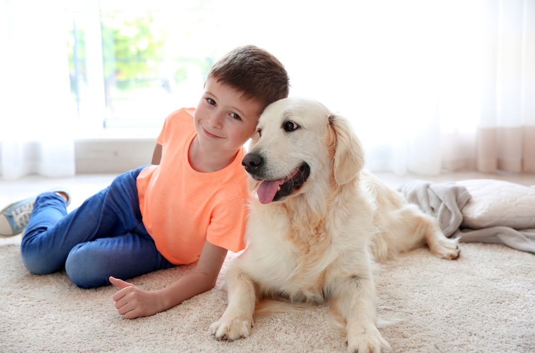 professional carpet cleaning safe for pets